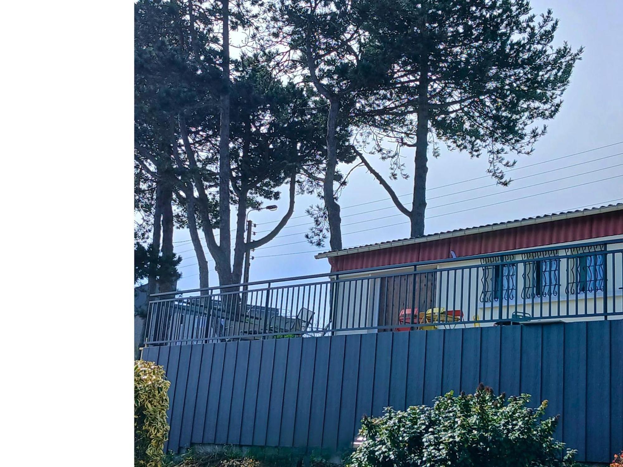 Le Domaine Des Pins - Maison 2 Chambres Vue Mer Le Tréport Zewnętrze zdjęcie